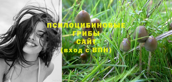 каннабис Белокуриха