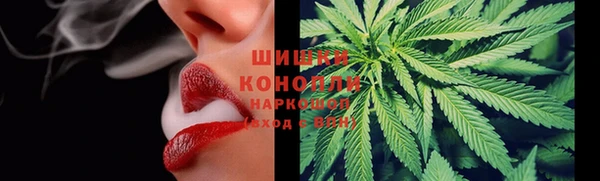 каннабис Белокуриха