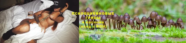 прущий лед Беломорск