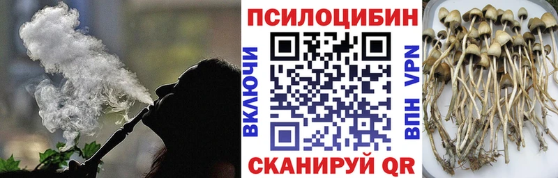 Псилоцибиновые грибы MAGIC MUSHROOMS Высоковск